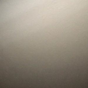 Meet your Posher, Shelby